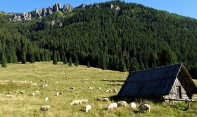 Letná dovolenka na Slovensku: Kam vycestovať?